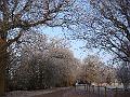 The Countryside